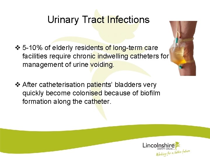 Urinary Tract Infections v 5 -10% of elderly residents of long-term care facilities require