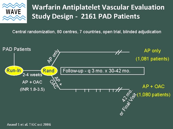 Warfarin Antiplatelet Vascular Evaluation Study Design - 2161 PAD Patients Central randomization, 80 centres,