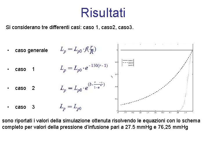 Risultati Si considerano tre differenti casi: caso 1, caso 2, caso 3. • caso