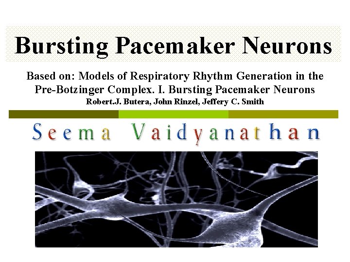 Bursting Pacemaker Neurons Based on: Models of Respiratory Rhythm Generation in the Pre-Botzinger Complex.