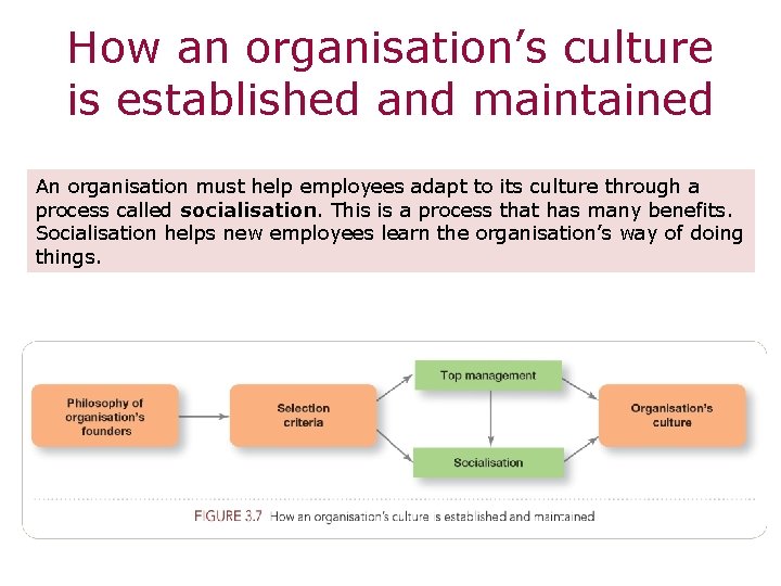 How an organisation’s culture is established and maintained An organisation must help employees adapt