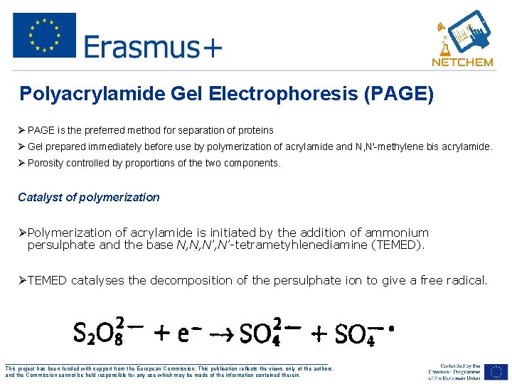 Polyacrylamide Gel Electrophoresis (PAGE) Ø PAGE is the preferred method for separation of proteins