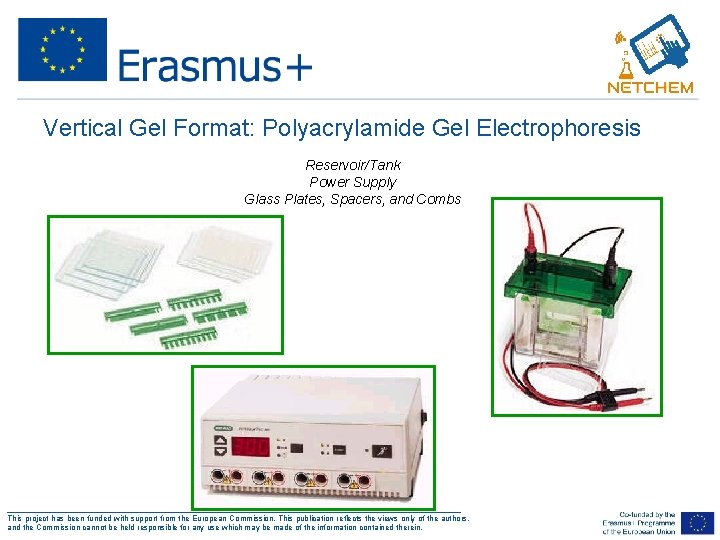 Vertical Gel Format: Polyacrylamide Gel Electrophoresis • • Reservoir/Tank • Power Supply Glass Plates,