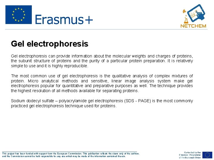 Gel electrophoresis can provide information about the molecular weights and charges of proteins, the