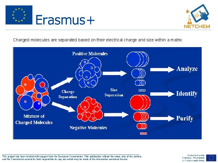 Charged molecules are separated based on their electrical charge and size within a matrix: