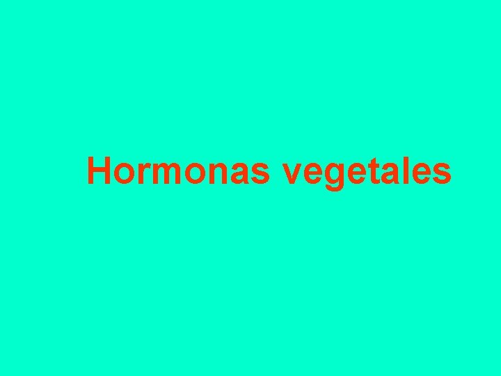 Hormonas vegetales Hormonas vegetales