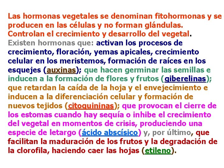 Las hormonas vegetales se denominan fitohormonas y se producen en las células y no Las hormonas vegetales se denominan fitohormonas y se producen en las células y no