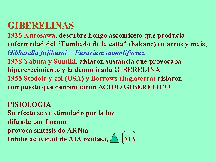 GIBERELINAS 1926 Kurosawa, descubre hongo ascomiceto que producía enfermedad del “Tumbado de la caña” GIBERELINAS 1926 Kurosawa, descubre hongo ascomiceto que producía enfermedad del “Tumbado de la caña”