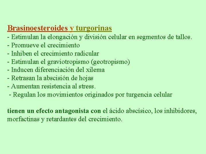 Brasinoesteroides y turgorinas - Estimulan la elongación y división celular en segmentos de tallos. Brasinoesteroides y turgorinas - Estimulan la elongación y división celular en segmentos de tallos.