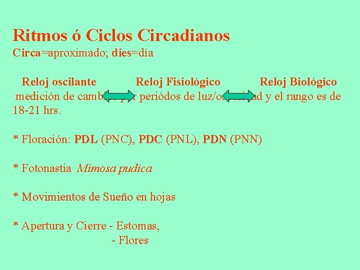 Ritmos ó Ciclos Circadianos Circa=aproximado; dies=día Reloj oscilante Reloj Fisiológico Reloj Biológico medición de Ritmos ó Ciclos Circadianos Circa=aproximado; dies=día Reloj oscilante Reloj Fisiológico Reloj Biológico medición de