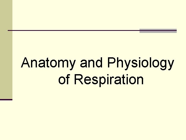 Anatomy and Physiology of Respiration 