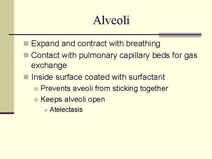 Alveoli n Expand contract with breathing n Contact with pulmonary capillary beds for gas