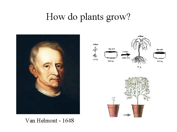 How do plants grow? Van Helmont - 1648 