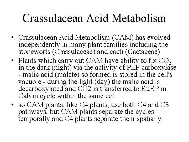 Crassulacean Acid Metabolism • Crassulacean Acid Metabolism (CAM) has evolved independently in many plant