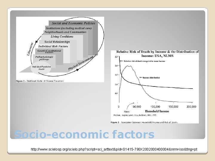 Socio-economic factors http: //www. scielosp. org/scielo. php? script=sci_arttext&pid=S 1415 -790 X 2002000400004&nrm=iso&tlng=pt 