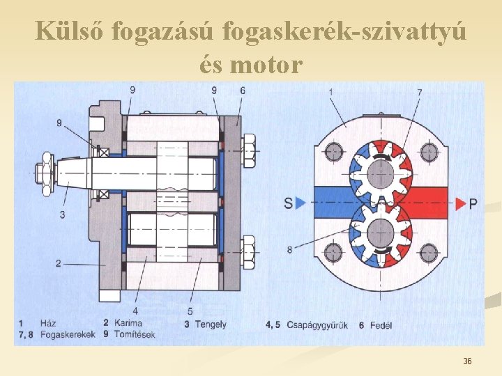 Külső fogazású fogaskerék-szivattyú és motor 36 Külső fogazású fogaskerék-szivattyú és motor 36