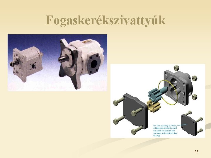 Fogaskerékszivattyúk 37 Fogaskerékszivattyúk 37