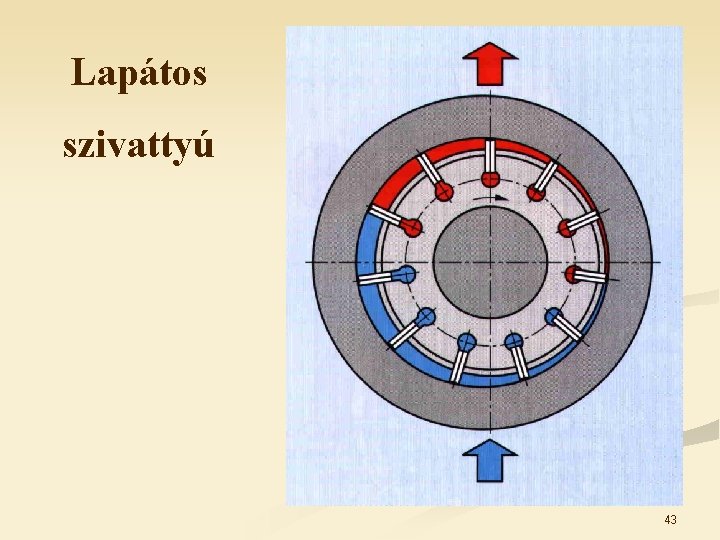 Lapátos szivattyú 43 Lapátos szivattyú 43