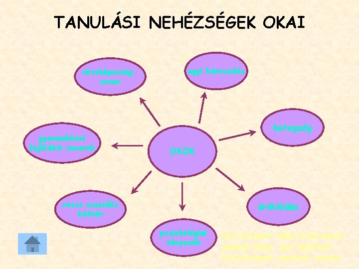 TANULÁSI NEHÉZSÉGEK OKAI részképességzavar gyermekkori fejlődési zavarok agyi károsodás betegség OKOK rossz szociális háttér