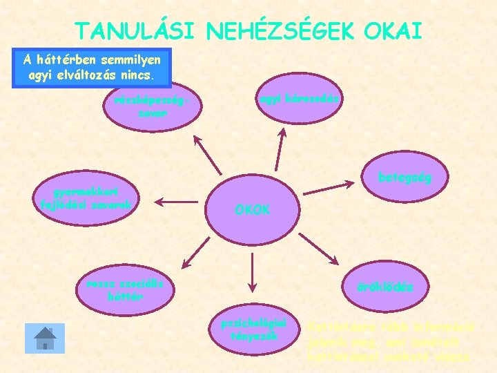 TANULÁSI NEHÉZSÉGEK OKAI A háttérben semmilyen agyi elváltozás nincs. részképességzavar gyermekkori fejlődési zavarok agyi