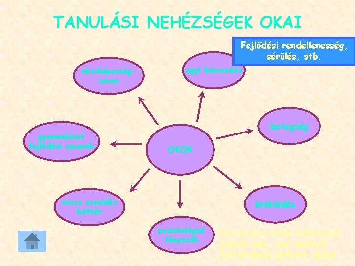 TANULÁSI NEHÉZSÉGEK OKAI Fejlődési rendellenesség, sérülés, stb. részképességzavar gyermekkori fejlődési zavarok agyi károsodás betegség