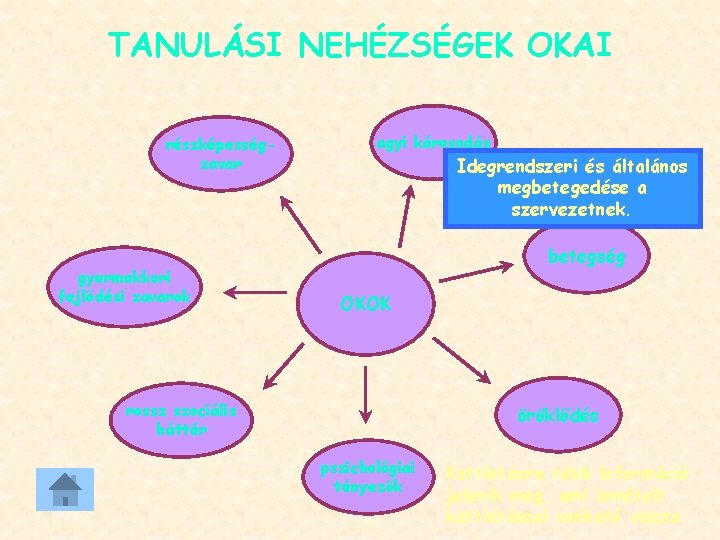 TANULÁSI NEHÉZSÉGEK OKAI részképességzavar gyermekkori fejlődési zavarok agyi károsodás Idegrendszeri és általános megbetegedése a