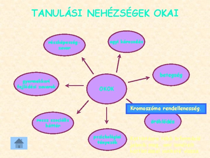 TANULÁSI NEHÉZSÉGEK OKAI részképességzavar gyermekkori fejlődési zavarok agyi károsodás betegség OKOK Kromoszóma rendellenesség. rossz