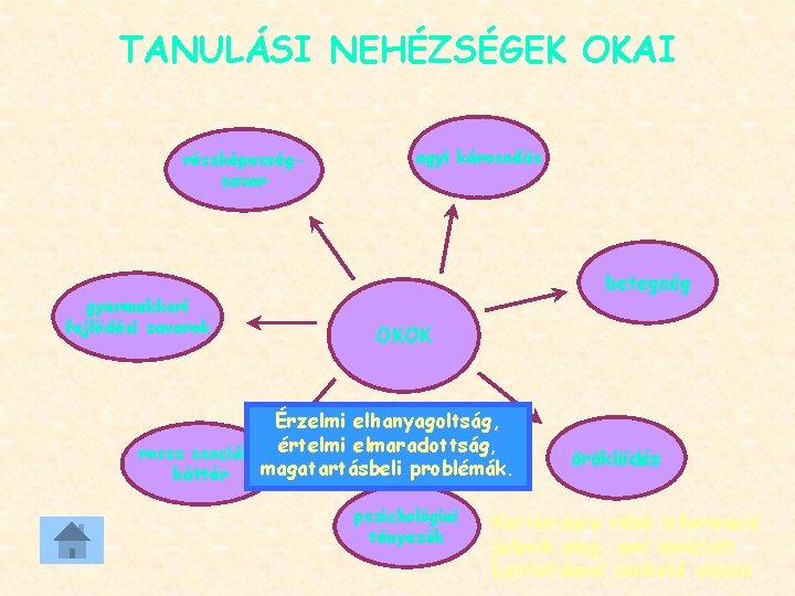 TANULÁSI NEHÉZSÉGEK OKAI részképességzavar gyermekkori fejlődési zavarok agyi károsodás betegség OKOK Érzelmi elhanyagoltság, rossz