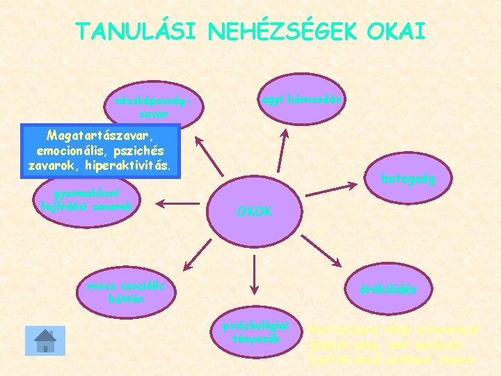 TANULÁSI NEHÉZSÉGEK OKAI részképességzavar agyi károsodás Magatartászavar, emocionális, pszichés zavarok, hiperaktivitás. gyermekkori fejlődési zavarok