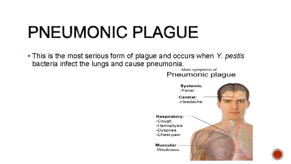 § This is the most serious form of plague and occurs when Y. pestis § This is the most serious form of plague and occurs when Y. pestis