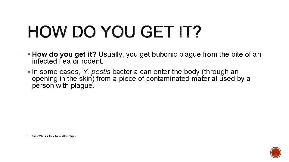 § How do you get it? Usually, you get bubonic plague from the bite § How do you get it? Usually, you get bubonic plague from the bite