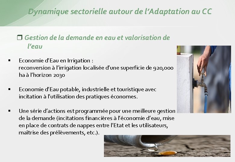 Dynamique sectorielle autour de l’Adaptation au CC Gestion de la demande en eau et