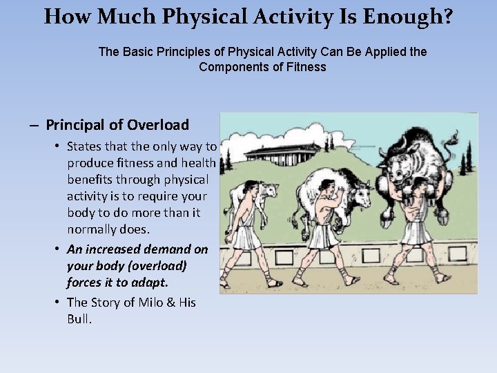 How Much Physical Activity Is Enough? The Basic Principles of Physical Activity Can Be