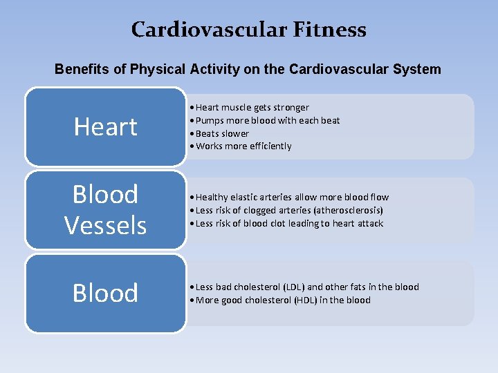 Cardiovascular Fitness Benefits of Physical Activity on the Cardiovascular System Heart Blood Vessels Blood