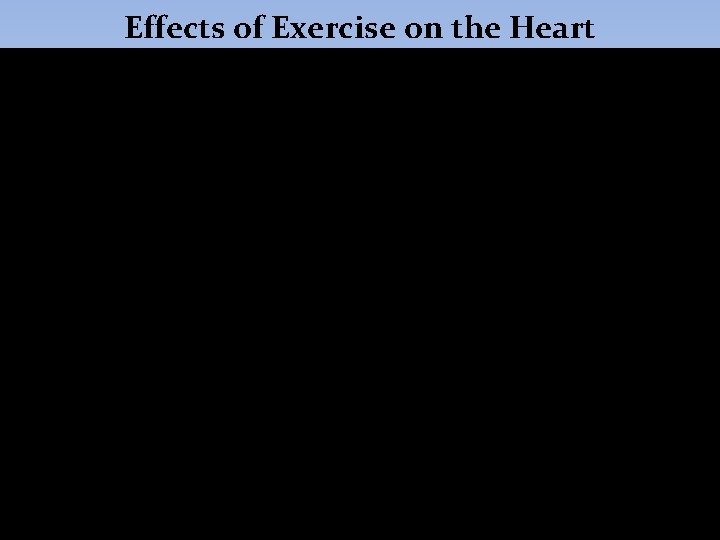 Effects of Exercise on the Heart 