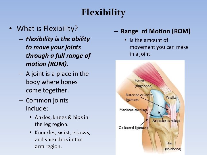 Flexibility • What is Flexibility? – Flexibility is the ability to move your joints