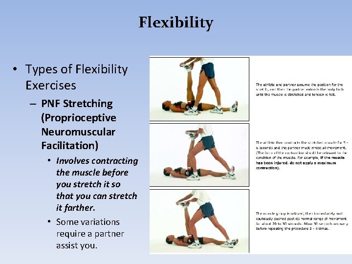Flexibility • Types of Flexibility Exercises – PNF Stretching (Proprioceptive Neuromuscular Facilitation) • Involves