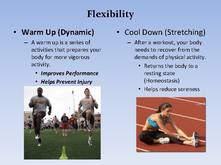 Flexibility • Warm Up (Dynamic) – A warm up is a series of activities