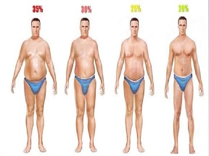 Body Composition 
