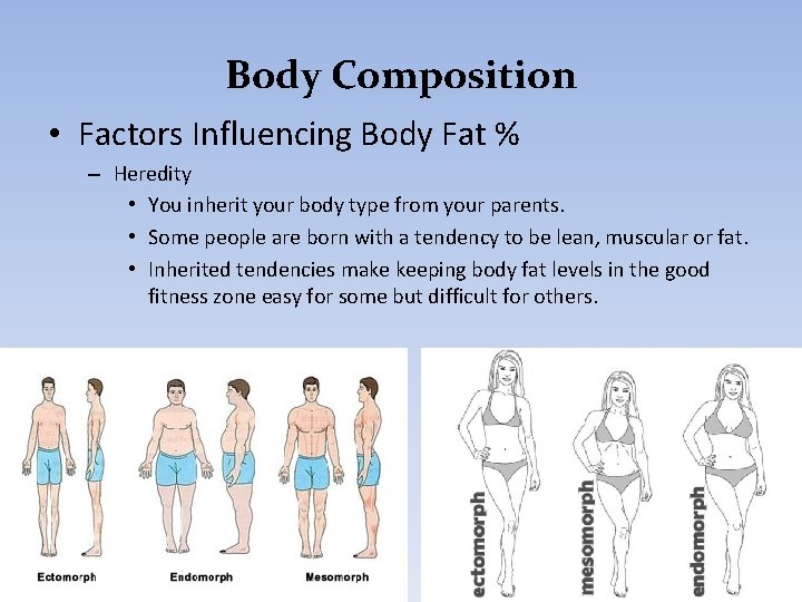 Body Composition • Factors Influencing Body Fat % – Heredity • You inherit your