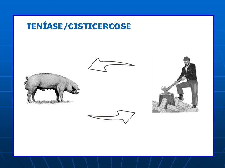 TENÍASE/CISTICERCOSE TENÍASE/CISTICERCOSE