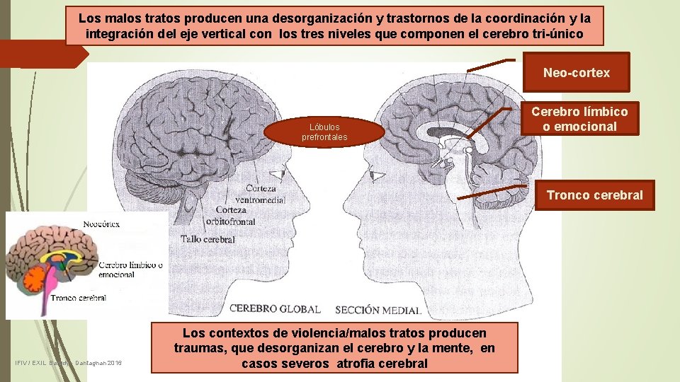 Los malos tratos producen una desorganización y trastornos de la coordinación y la integración Los malos tratos producen una desorganización y trastornos de la coordinación y la integración