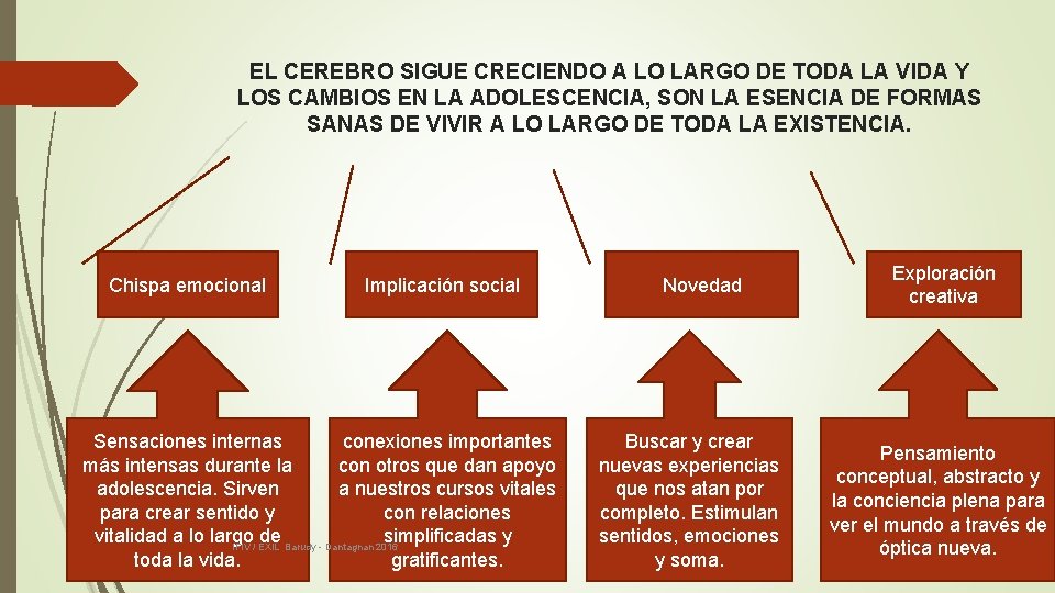 EL CEREBRO SIGUE CRECIENDO A LO LARGO DE TODA LA VIDA Y LOS CAMBIOS EL CEREBRO SIGUE CRECIENDO A LO LARGO DE TODA LA VIDA Y LOS CAMBIOS