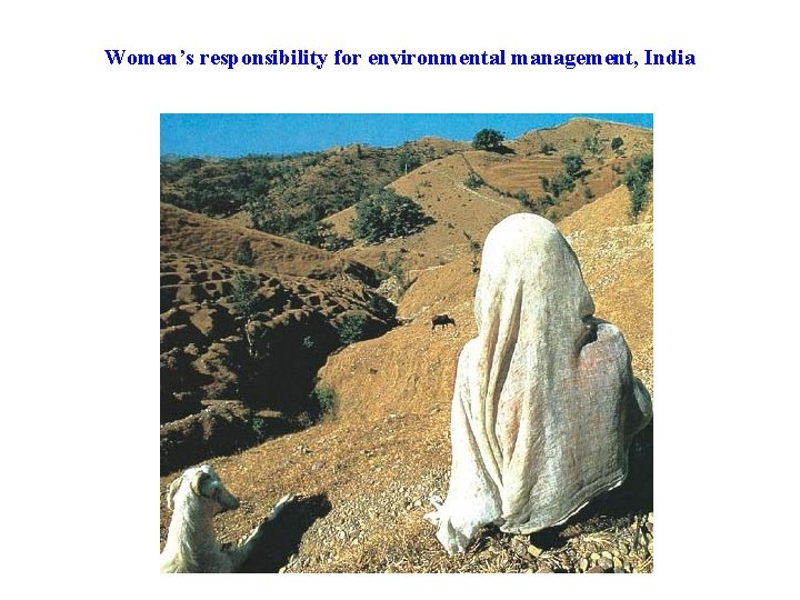 Women’s responsibility for environmental management, India 