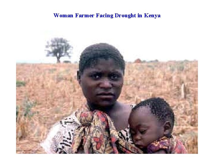 Woman Farmer Facing Drought in Kenya 