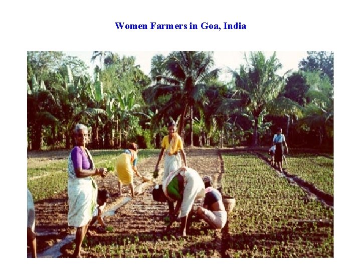 Women Farmers in Goa, India 