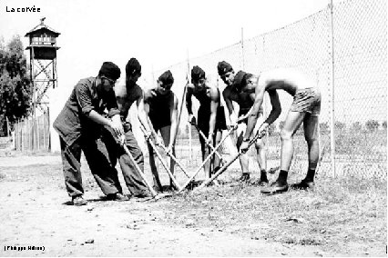 La corvée (Philippe Hillion) 