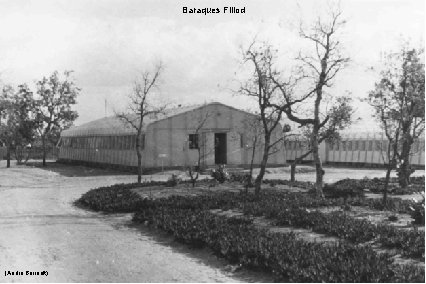 Baraques Fillod (André Barrault) 