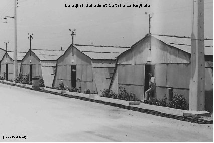 Baraques Sarrade et Galtier à La Réghaïa (Jean-Paul Meal) 