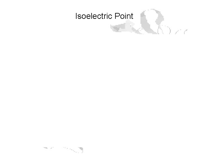 Isoelectric Point Isoelectric Point